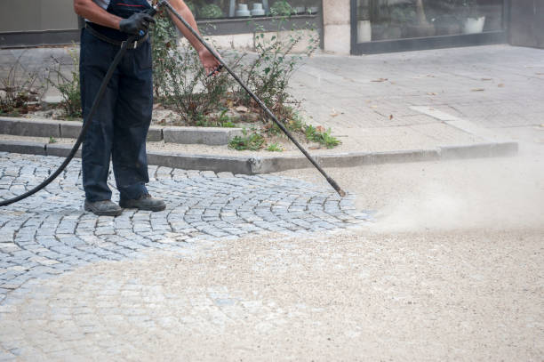 Best Gutter Cleaning  in Middleport, NY